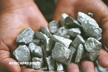 La Tanzanie se Lance dans la Production de Niobium