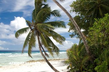 Londres accélère la restitution des îles Chagos à Maurice avant l’investiture de Donald Trump