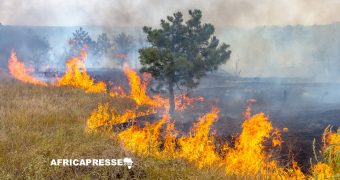 Réchauffement climatique : 2024 dépasse pour la première fois le seuil des 1,5 °C