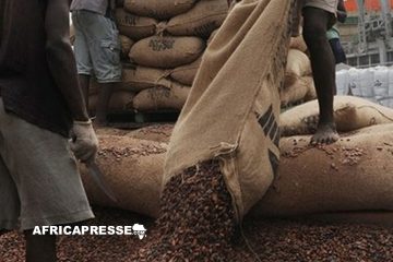 La Guinée : Nouveau Carrefour de la Contrebande de Cacao en Afrique de l’Ouest