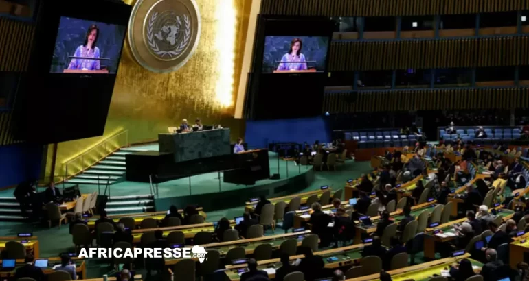 Assemblée générale des Nations unies