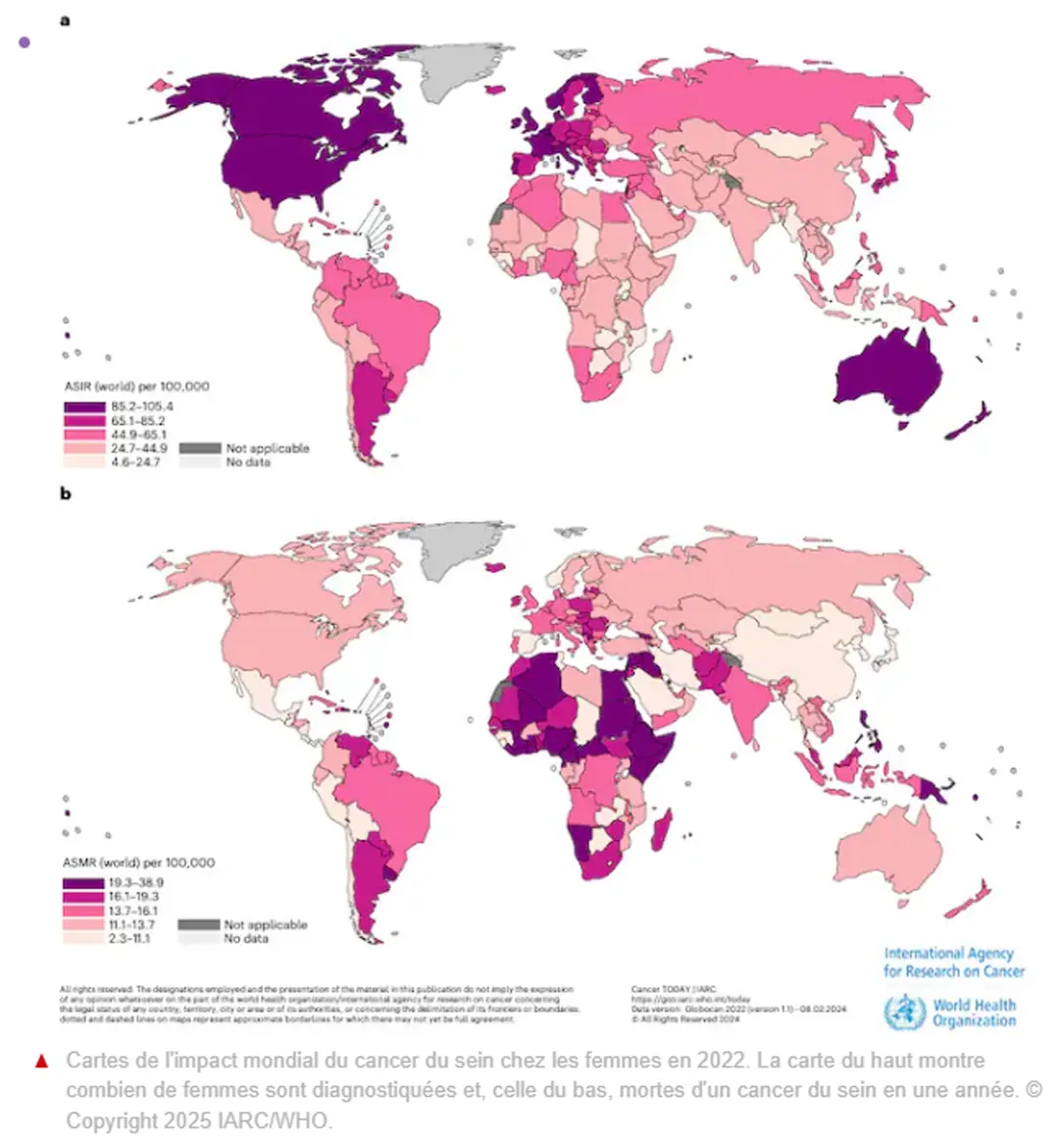 Cartes de l'impact mondial du cancer du sein chez les femmes en 2022