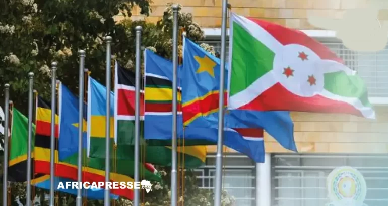 Drapeau pays africain