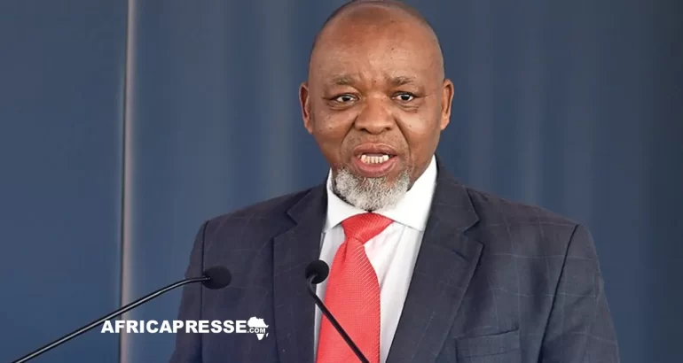 Le ministre sud-africain de l'Energie et des Ressources minérales, Gwede Mantashe