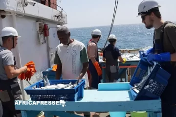 Grande Expédition Africaine : Exploration inédite des ressources halieutiques dans la ZEE de Guinée-Bissau Grande Expédition Africaine : Exploration inédite des ressources halieutiques dans la ZEE de Guinée-Bissau