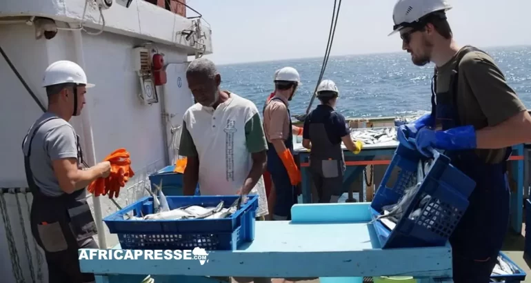 les scientifiques mènent des recherches dans la ZEE de Guinée-Bissau