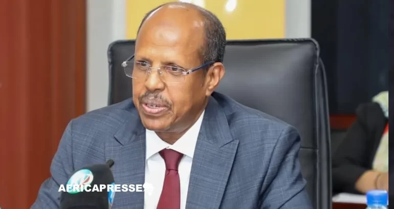 Le Djiboutien Mahamoud Ali Youssouf prend les rênes de la Commission de l’Union africaine Mahamoud Ali Youssouf président de lèUnion africaine