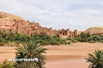 Le Maroc expulse des députés européens tentant d’entrer au Sahara occidental Le Maroc expulse des députés européens tentant d’entrer au Sahara occidental