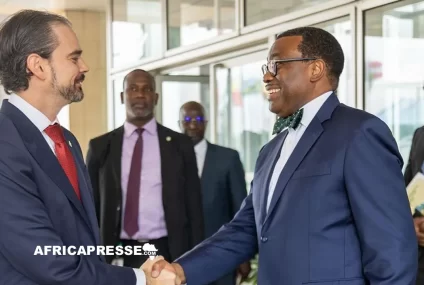 La Banque africaine de développement s’associe à Interpol pour lutter contre la criminalité financière en Afrique