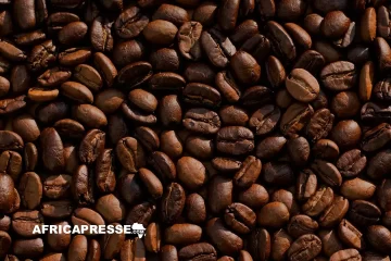Burundi : redresser la filière café en réduisant les intermédiaires et en valorisant la consommation interne Burundi : redresser la filière café en réduisant les intermédiaires et en valorisant la consommation interne