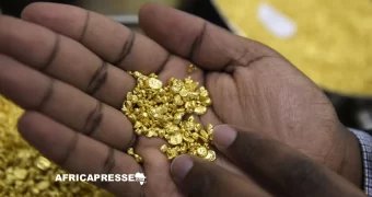 Tanzanie : la Banque centrale achète 28 tonnes d’or en 18 mois pour renforcer ses réserves
