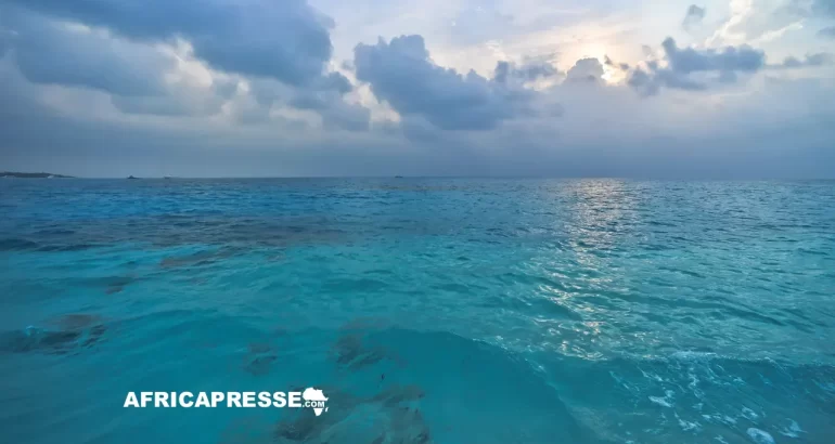 L’Inde et dix pays africains lancent des manœuvres maritimes inédites dans océan Indien Ocean indien