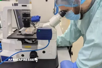 Une avancée inédite : un ordinateur biologique fusionné avec des cellules cérébrales humaines voit le jour