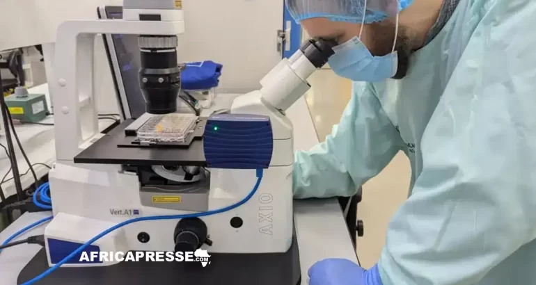 Ordinateur biologique fusionné avec des cellules cérébrales humaines CL1