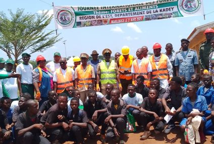 Protection de l’environnement : Près de 200 arbres plantés à Nguelebock