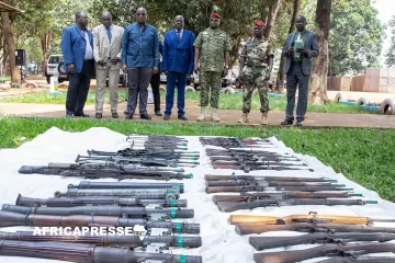 Centrafrique : Plus de 5 600 combattants désarmés en 2024, selon l’ONU