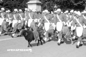 Seconde Guerre mondiale : Le rôle crucial des troupes africaines dans la défaite du nazisme et la naissance de la décolonisation Seconde Guerre mondiale : Le rôle crucial des troupes africaines dans la défaite du nazisme et la naissance de la décolonisation