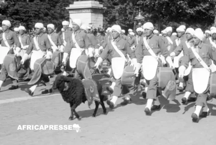 Seconde Guerre mondiale : Le rôle crucial des troupes africaines dans la défaite du nazisme et la naissance de la décolonisation