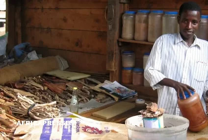 L’intelligence artificielle au service de la médecine traditionnelle : un nouvel espoir pour la santé en Afrique