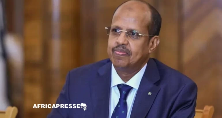 Mahmoud Ali Youssouf, le nouveau président de la Commission de l'Union africaine (UA)