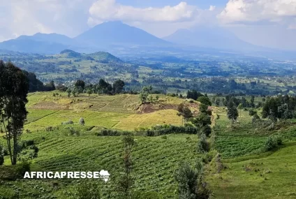 Le Rwanda et Singapour signent un accord-cadre pour la mise en œuvre d’un marché carbone