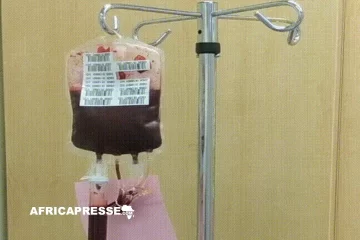 Transfusion sanguine : pourquoi l’Afrique peine à exploiter la découverte d’un nouveau groupe sanguin Transfusion sanguine : pourquoi l’Afrique peine à exploiter la découverte d’un nouveau groupe sanguin