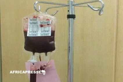 Transfusion sanguine : pourquoi l’Afrique peine à exploiter la découverte d’un nouveau groupe sanguin