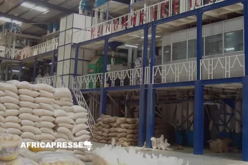 Aliko Dangote annonce un investissement majeur dans la construction d’une usine ultramoderne pour stimuler la production de riz Aliko Dangote annonce un investissement majeur dans la construction d’une usine ultramoderne pour stimuler la production de riz