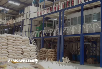 Aliko Dangote annonce un investissement majeur dans la construction d’une usine ultramoderne pour stimuler la production de riz