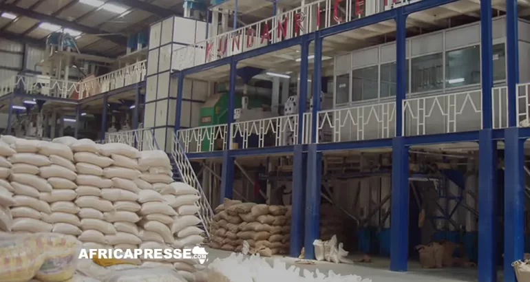 Aliko Dangote annonce un investissement majeur dans la construction d’une usine ultramoderne pour stimuler la production de riz Usine de production de riz - Rizerie