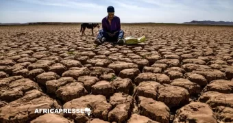 Désertification : l’Égypte accueillera la COP18 en 2028