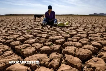 L’Afrique face à la montée des événements climatiques extrêmes : le rapport alarmant de l’OMM L’Afrique face à la montée des événements climatiques extrêmes : le rapport alarmant de l’OMM