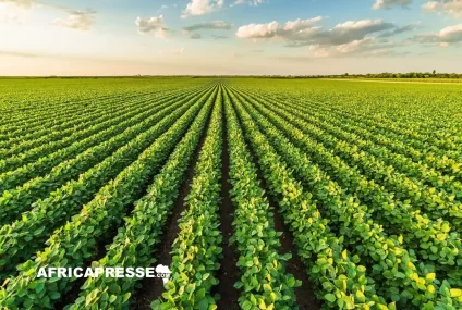 Climat et agriculture : la BAD injecte 39 millions de dollars pour moderniser les zones agro-industrielles togolaises