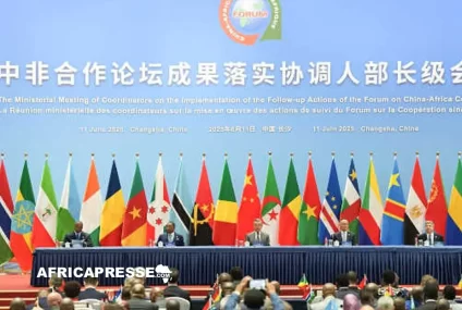 La Chine supprime les droits de douane sur les produits de 53 pays africains pour rééquilibrer les échanges