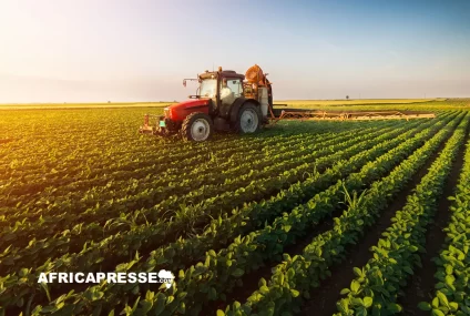 Accords agricoles annulés : Congo-Brazzaville met fin à l’allocation de terres à des entreprises rwandaises