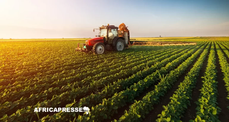 Accords agricoles annulés : Congo-Brazzaville met fin à l’allocation de terres à des entreprises rwandaises Congo-Brazzaville met fin à l’allocation de terres à des entreprises rwandaises