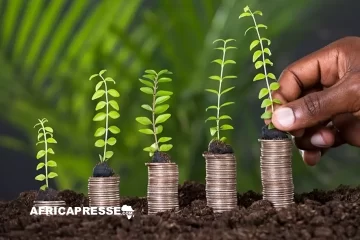 Financement agricole : l’Afrique en tête, mais toujours à la peine pour soutenir ses PME Financement agricole : l’Afrique en tête, mais toujours à la peine pour soutenir ses PME