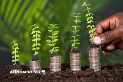 Financement agricole : l’Afrique en tête, mais toujours à la peine pour soutenir ses PME