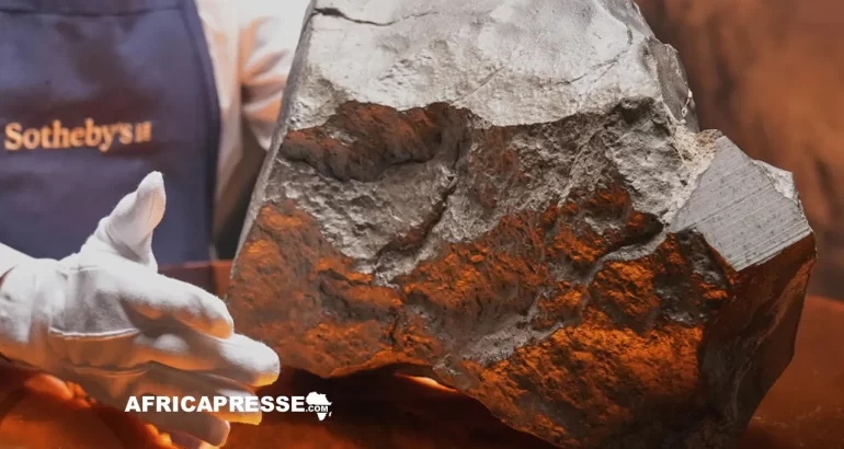 la météorite provenant de Mars découverte à Agadez vendue 5 millions de dollars à New York
