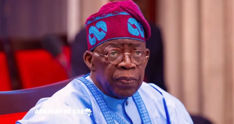 Nigeria: Tinubu interdit l’exportation de noix de karité brutes pour six mois Nigeria: Tinubu interdit l’exportation de noix de karité brutes pour six mois