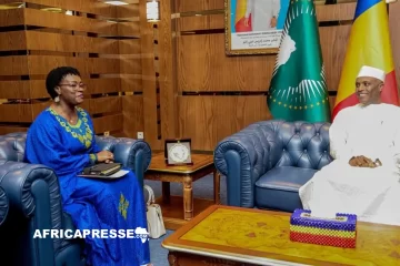 Tchad : l’ONUSIDA et N’Djamena s’accordent pour intensifier la lutte contre le VIH Tchad : l’ONUSIDA et N’Djamena s’accordent pour intensifier la lutte contre le VIH