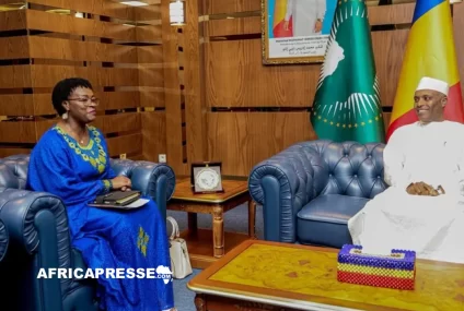 Tchad : l’ONUSIDA et N’Djamena s’accordent pour intensifier la lutte contre le VIH