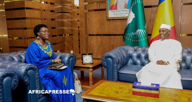 Tchad : l’ONUSIDA et N’Djamena s’accordent pour intensifier la lutte contre le VIH