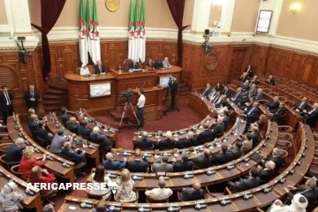Algérie : quand la ‘trahison’ devient un motif de déchéance de nationalité, la justice prise au piège politique Algérie : quand la ‘trahison’ devient un motif de déchéance de nationalité, la justice prise au piège politique