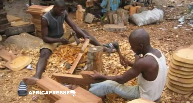Togo : l’assurance maladie universelle s’ouvre aux travailleurs non-salariés Travailleur non salarie Togo Sculteur