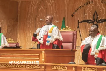 Gabon : l’UDB écrase l’opposition aux sénatoriales et redessine le paysage politique