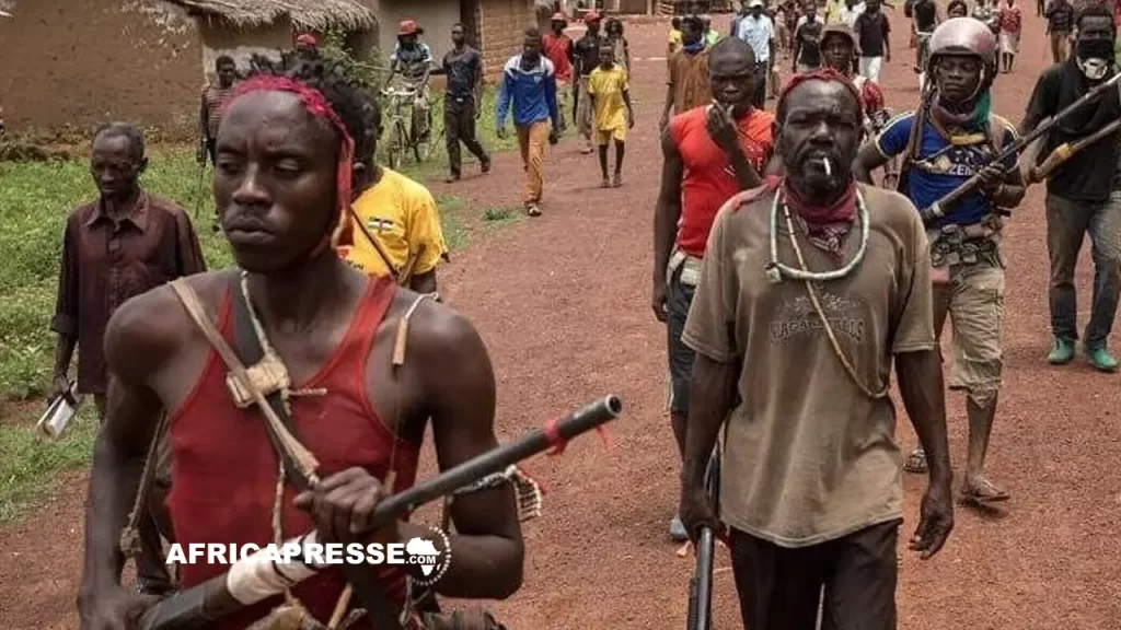 Rebelles en Centrafrique