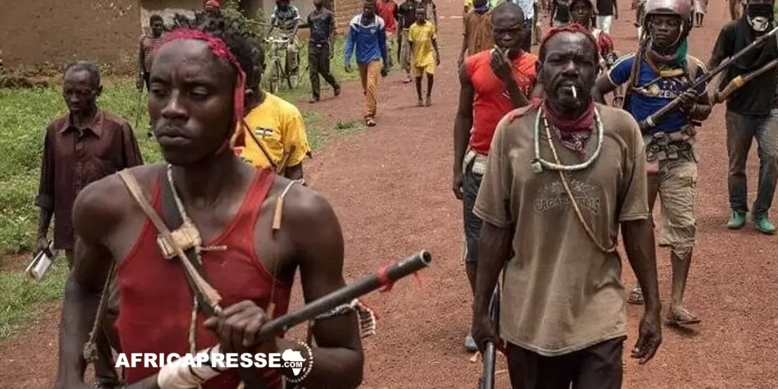 Centrafrique : des rebelles auraient sollicité l’Ukraine pour un putsch avant les élections, selon un responsable