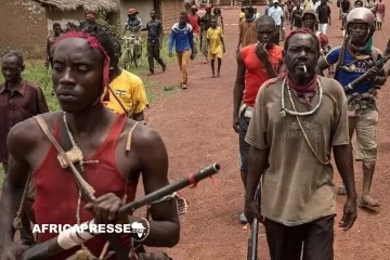 Centrafrique : des rebelles auraient sollicité l’Ukraine pour un putsch avant les élections, selon un responsable Centrafrique : des rebelles auraient sollicité l’Ukraine pour un putsch avant les élections, selon un responsable