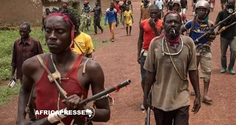 Centrafrique : des rebelles auraient sollicité l’Ukraine pour un putsch avant les élections, selon un responsable